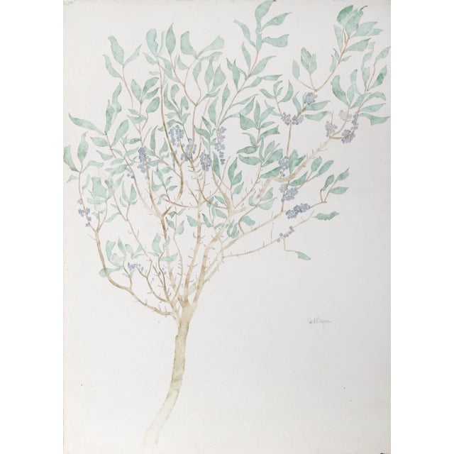 Olive Tree, Carl Bergman For Sale - Image 4 of 4
