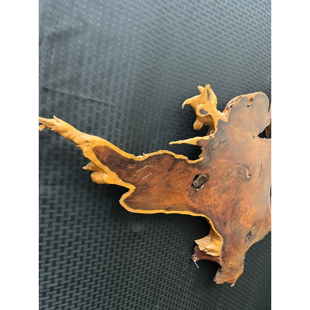 Wood 1980s Large Redwood Burl Live Edge Slab With 2 Carved Trees Wall Hanging Sculpture For Sale - Image 7 of 12