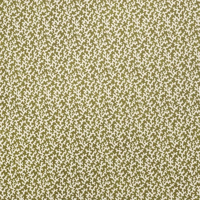 SAMPLE - Schumacher x Veere Greeney Folly Wallpaper In Olive For Sale