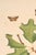 French Country Oak Leaf & Acorn Study With Moths, 1797 Vintage Art Print Reproduction, 16" X 24" For Sale - Image 3 of 10