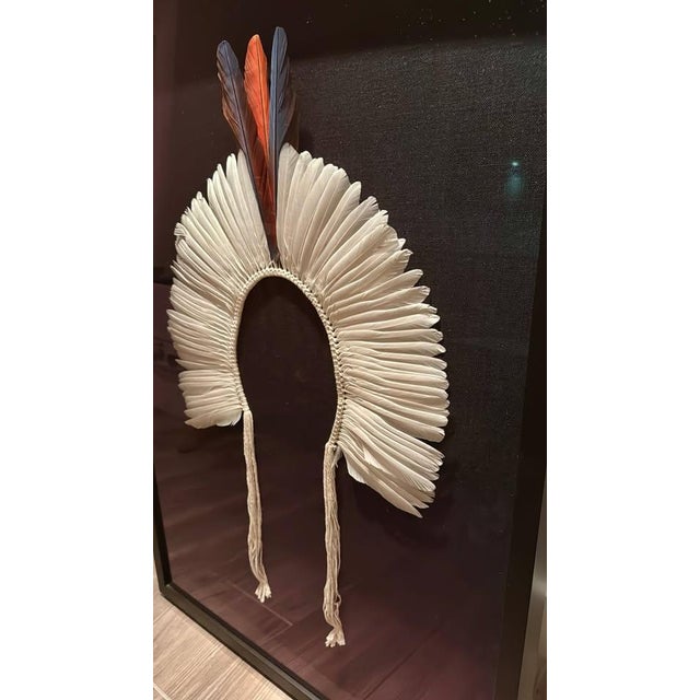 Brazilian Kayapó Wall Decor | Amazon Indigenous Feather Headdress 'Cocar' For Sale - Image 11 of 11