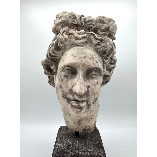 Late 20th Century Attila’s Classical Fragment Head Sculpture on Pedestal - Reproduction For Sale - Image 4 of 8