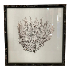 Espresso Frame With Ivory Linen Fan Coral Prints From Barclay Butera