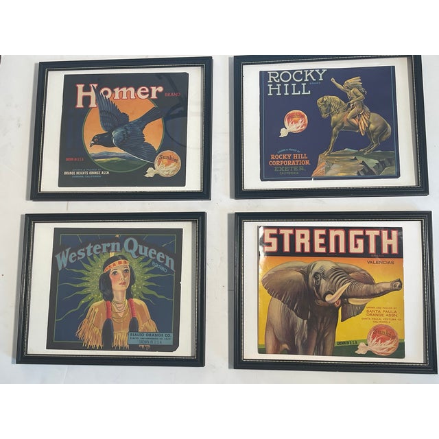 4 Vintage posters Sunkist, beautiful graphic designs, framed.