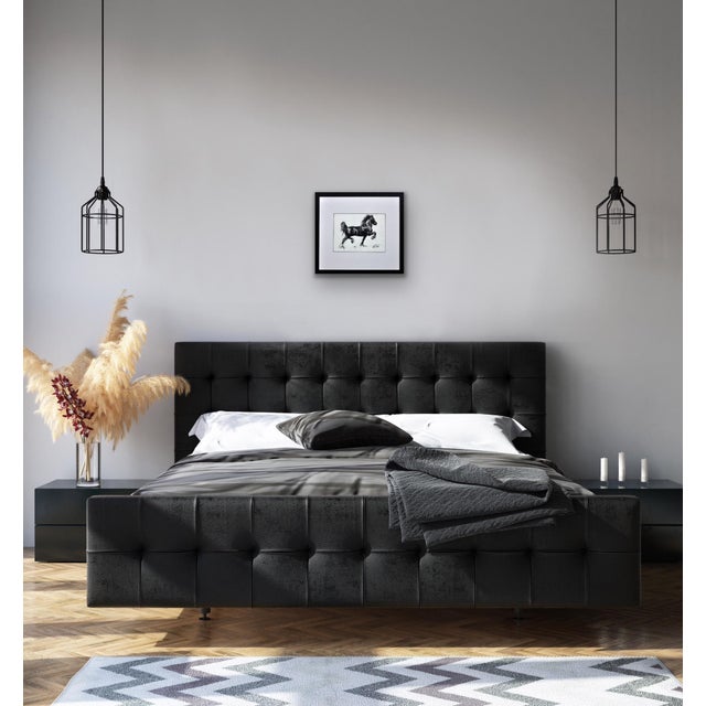 Elin Sian Blake, Black Welsh Cob, Charcoal on Paper For Sale - Image 13 of 18