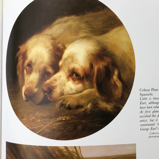 1980s Dogs of the World by Maurizio Bongianni & Concetta Mori For Sale - Image 12 of 13