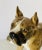 9,5” antique realistic dog sculpture figurine. Glazed porcelain. Collectible.