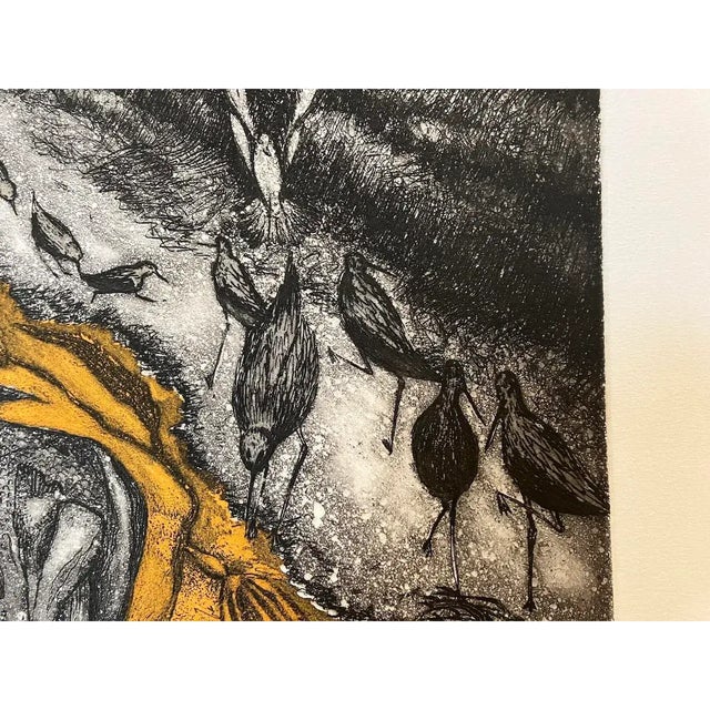 Mustard Vintage Arnold Grossman Etching W/ Aquatint "California Shorebirds at Low Tide, C. 1970s For Sale - Image 8 of 10