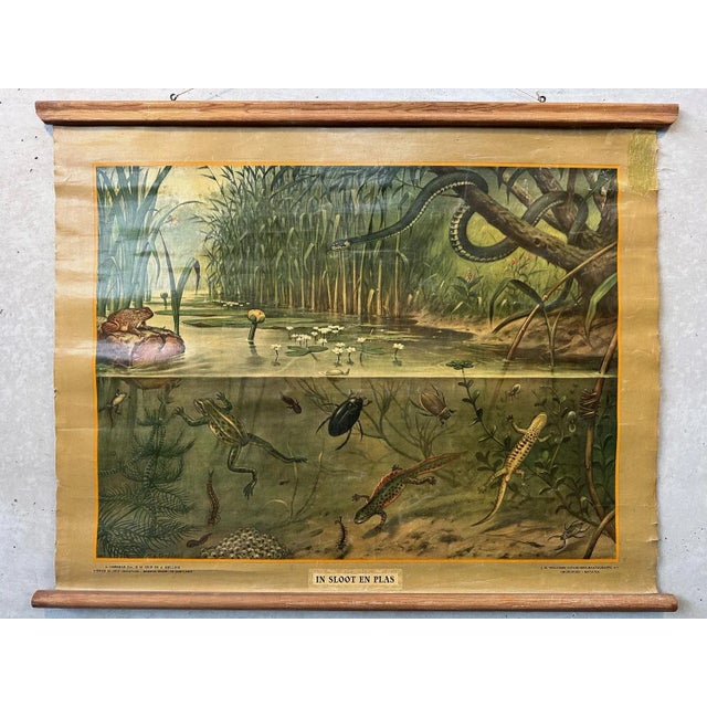Vintage Linen School Map In Ditch and Pond For Sale - Image 12 of 12