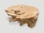 Wood Andrianna Shamaris Organic Bleached Teak Wood Coffee Table or Side Table For Sale - Image 7 of 18