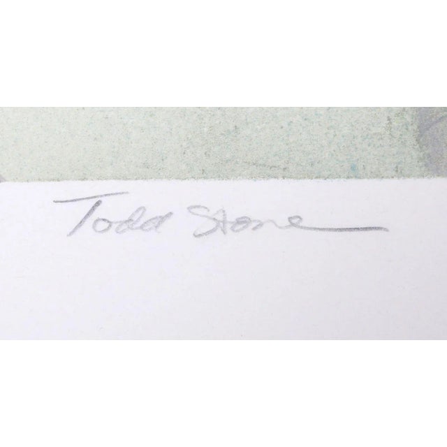 Artist: Todd Stone, American (1951 - ) Title: Passage III Year: 1978 Medium: Lithograph, signed and numbered in pencil...