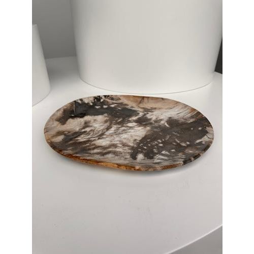 Very Large Vide-Poche or Dish in Petrified Wood For Sale - Image 14 of 18