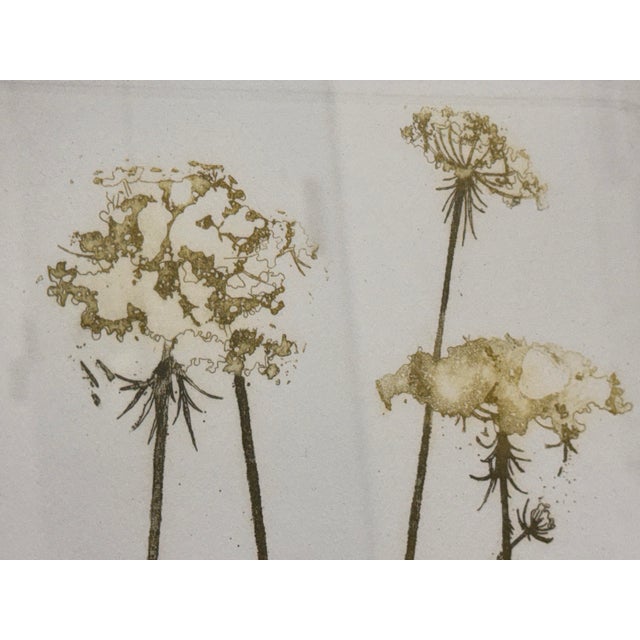 1970s Elaine R. Simel “Wild Lace” Signed Limited Edition Etching 23/250 For Sale - Image 5 of 12
