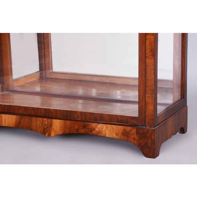 Biedermeier Display Cabinet in Walnut, 1830s For Sale - Image 18 of 18
