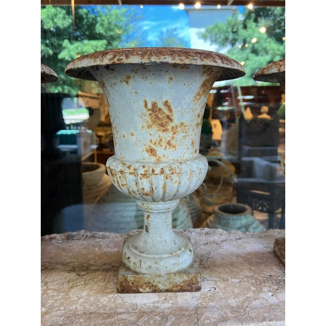 Suite of Four Diminutive French Blue Painted Cast Iron Medici Vases, 19th C. For Sale - Image 9 of 16