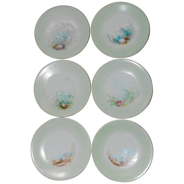 Turquoise Limoges T & V French Plates With Seashell Paintings by m.h. Dismukes in 1898 For Sale - Image 8 of 8