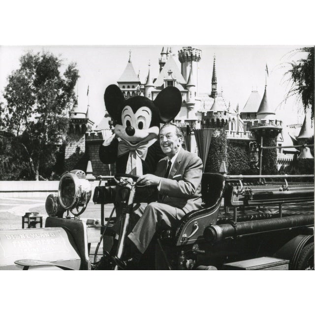 Walter Walt Disney, Original Press Images, 1950s, Photographs, Set of 7 For Sale
