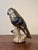 Mexican Vintage Tonalá Mexican Parrot Figurine, Coastal Modern Folk Art Ceramic For Sale - Image 3 of 8