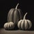 Contemporary Black & White Botanical Pumpkins No. 3 — Fine Art Photograph Print | Unframed For Sale - Image 3 of 4