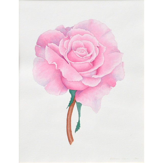 Realism Pink Rose Floral Study by Barbara Gibson For Sale - Image 3 of 5