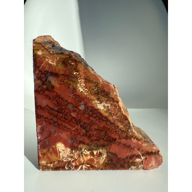 Vintage MCM Pair of Petrified Wood Bookends Arizona Rainbow For Sale - Image 9 of 14