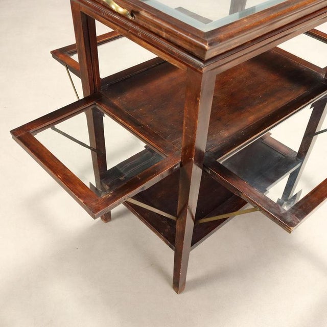 19th Century Walnut Display Table, Italy For Sale - Image 4 of 12