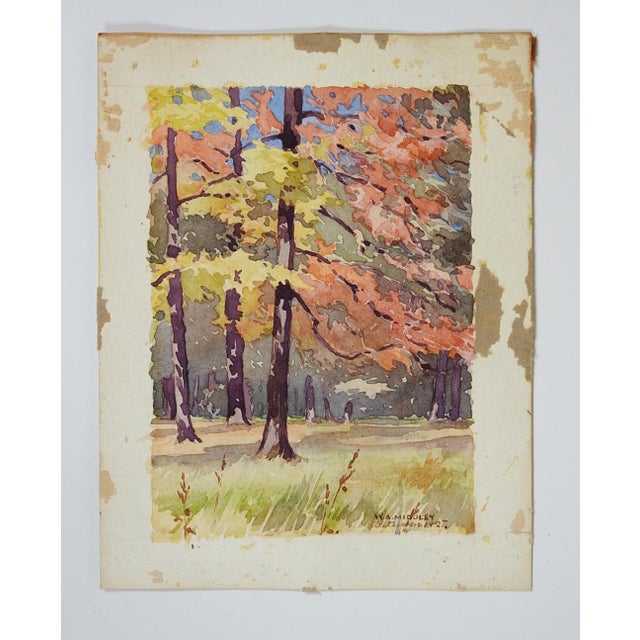 Paper 1927 Plein Air Autumn Forest Landscape Watercolor Painting For Sale - Image 7 of 7