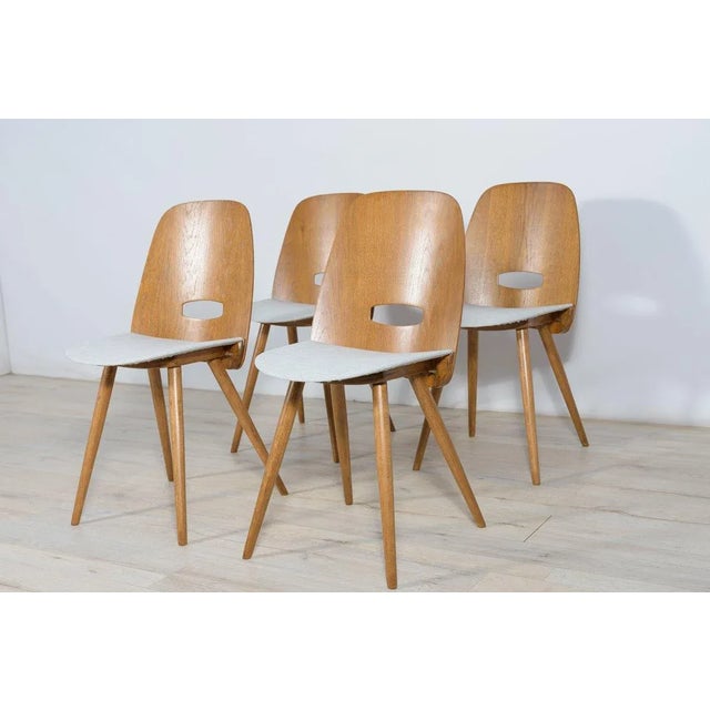 Mid-Century Modern Lollipop Chairs by František Jirák for Tatra, 1960s, Set of 4 For Sale - Image 3 of 12