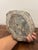 Wood Vintage Petrified Wood Specimen Slab Catchall Tray, Sculptural Decor For Sale - Image 7 of 7