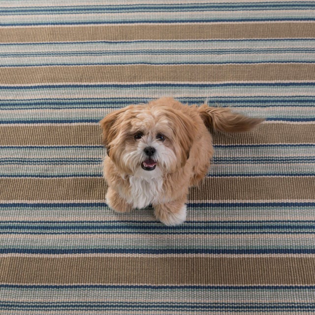 2020s Dash & Albert by Annie Selke Blue Heron Stripe Indoor/Outdoor Rug, 3' x 5' For Sale - Image 5 of 6