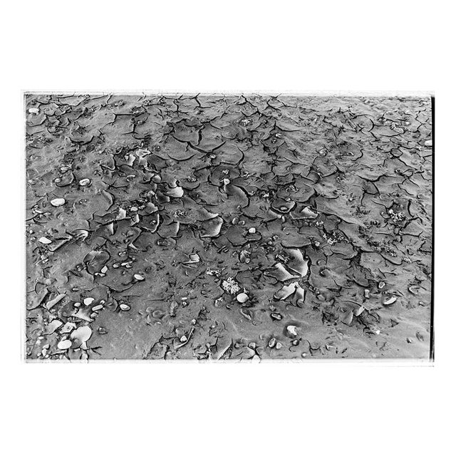 Serena Zeppilli, Tre Archi_09_2021, Original Photograph For Sale