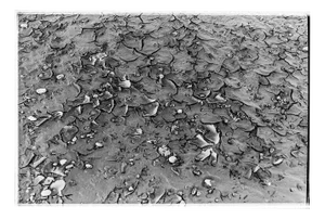 Serena Zeppilli, Tre Archi_09_2021, Original Photograph