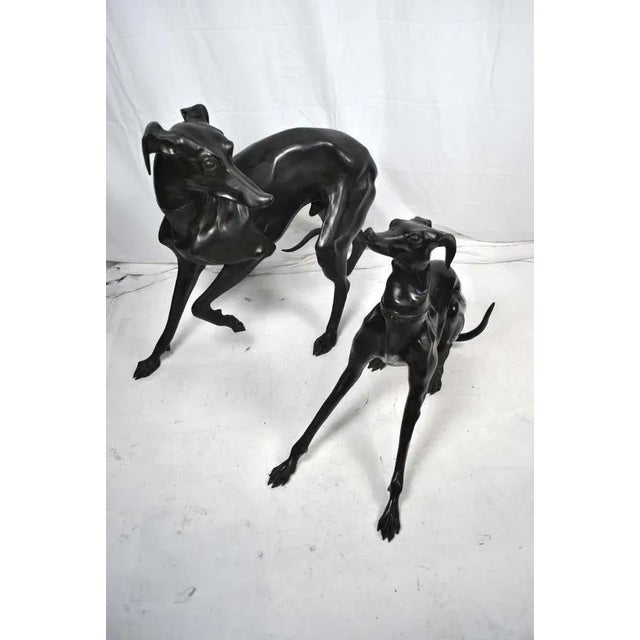 Large Bronze Greyhounds in Dominant Stance, 1960s, Set of 2 For Sale - Image 6 of 7
