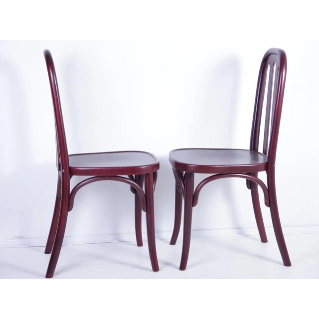 Wood Set of Antique Chairs by Josef Hoffmann for Jacob & Josef Kohn For Sale - Image 7 of 18