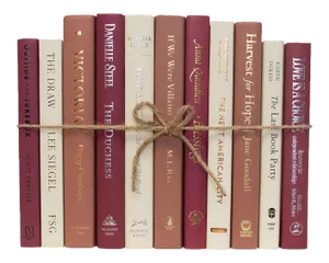 Decorative Books - Azeala Book Bundle - 1 Foot of Pink Books