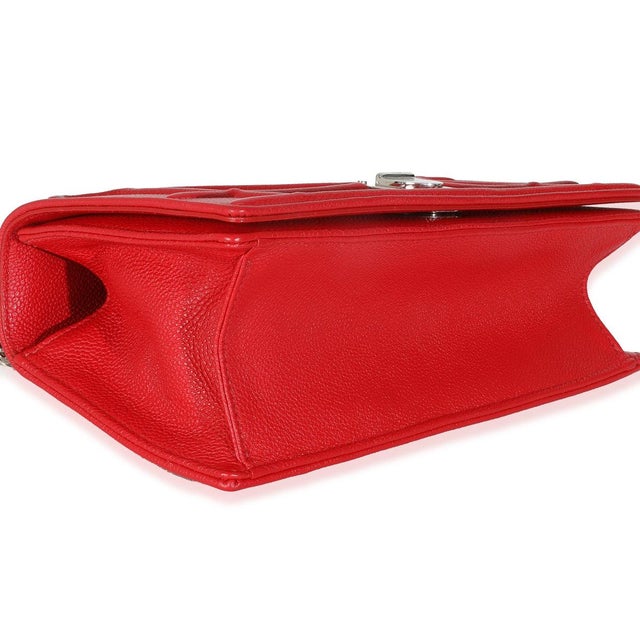 Animal Skin Red Grained Calfskin Small Diorama Flap Bag For Sale - Image 7 of 9