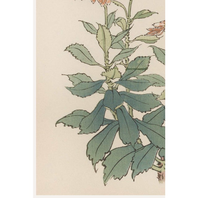 Daisy by Keika Hasegawa, Vintage Japanese Botanical Art Print, 16" X 24" For Sale - Image 4 of 9