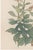 Daisy by Keika Hasegawa, Vintage Japanese Botanical Art Print, 16" X 24" For Sale - Image 4 of 9