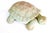 Farmhouse Vintage Whimsical Garden Turtle Statue For Sale - Image 3 of 5