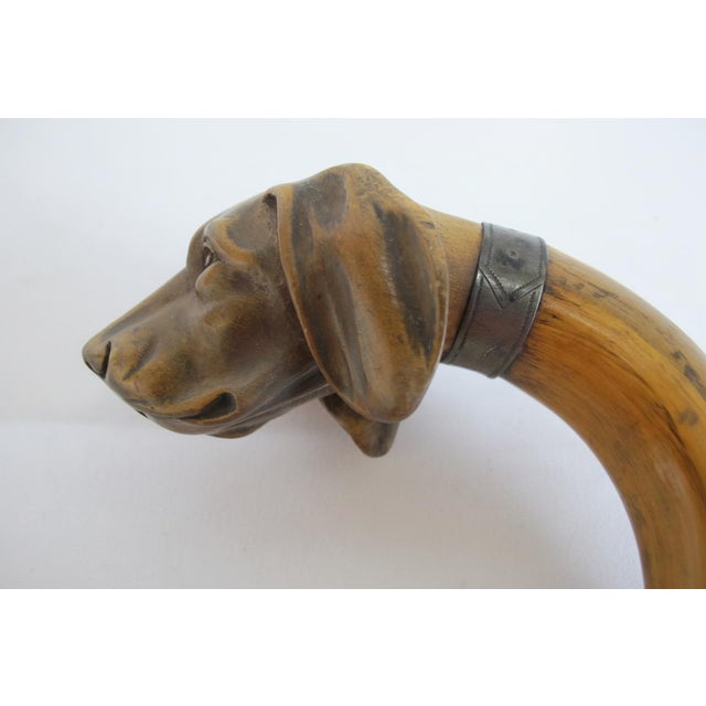 Victorian Dog With Collar Inset Eyes Carved Wood Folk Art Walking Stick Cane For Sale In Portland, OR - Image 6 of 10