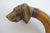 Victorian Dog With Collar Inset Eyes Carved Wood Folk Art Walking Stick Cane For Sale In Portland, OR - Image 6 of 10