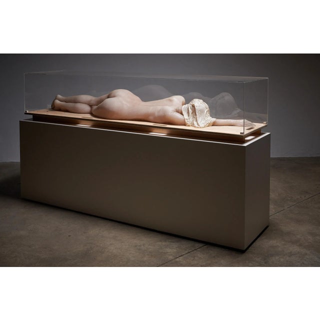 Nude Lady, 2000s, Wax Figure in Acrylic Glass For Sale - Image 4 of 9