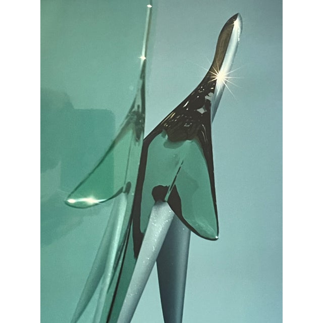 Mid Century Modern Photograph Hood Ornament by Lance Jekel For Sale - Image 4 of 6
