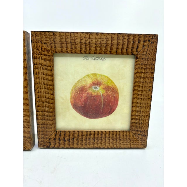 Vintage Apple Art Prints Framed Birdseye Maple Faux Painted Wood - A Set For Sale - Image 4 of 10