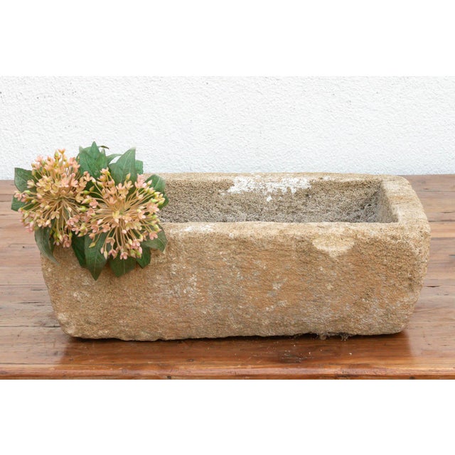 Sand Provence Trough, Vintage Sandstone Basin Planter For Sale - Image 8 of 8
