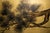 "Pine Tree" by Yukika, Late Showa Era Japanese Painted Byobu Screen For Sale - Image 11 of 18