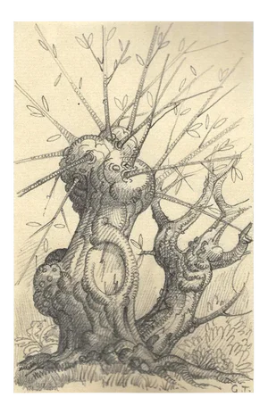 Georges-Henri Tribout, Tree, Pencil Drawing, Early 20th Century