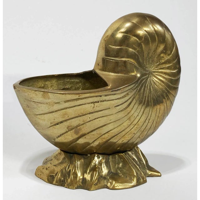 Metal Vintage Brass Nautilus Shell Cachepot Planter For Sale - Image 7 of 9