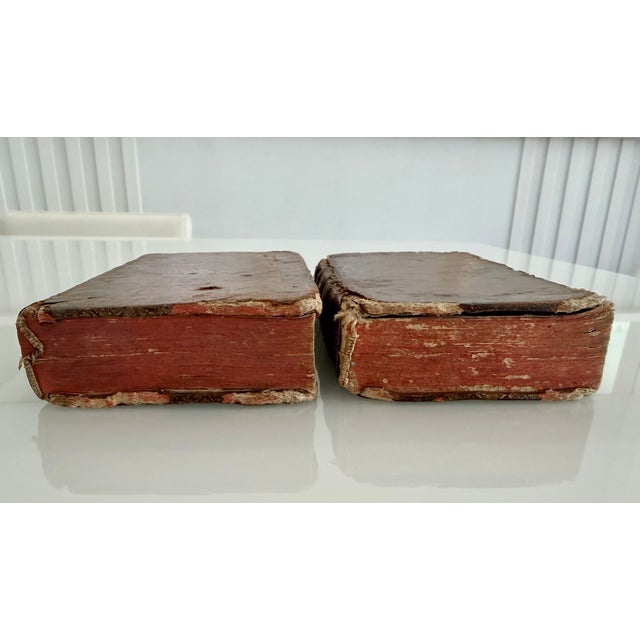 Animal Skin Antique 18th-Century French Apothecary Books, Paris 1739 – Original Leather (Set of 2) For Sale - Image 7 of 13