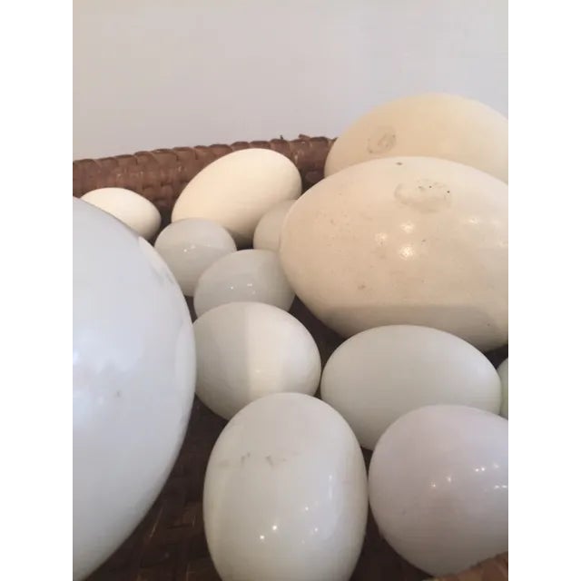 Contemporary Vintage Wicker Tray With Assorted Eggs For Sale - Image 3 of 4